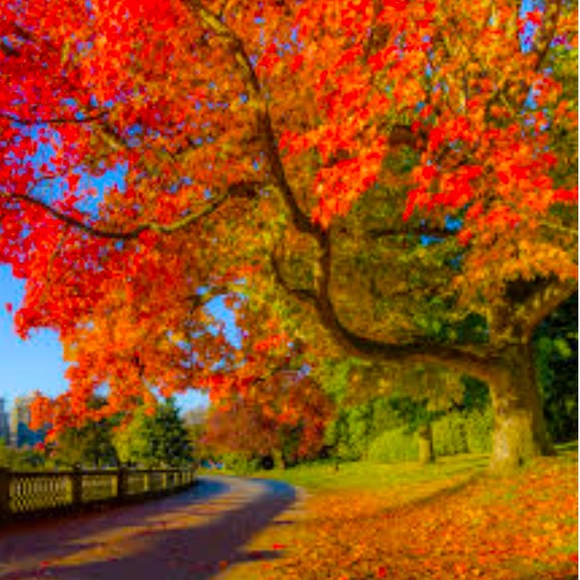 Visit my closet today for some great deals! - Picture 6 of 6